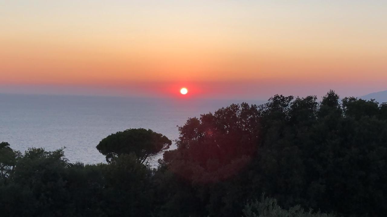 La Draghina B&B Capri Anacapri  Eksteriør bilde